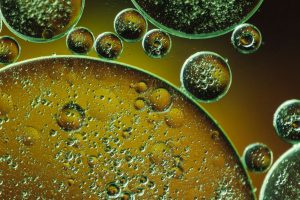 Mehr über den Artikel erfahren Mikrobiom „Medizin im Mund“