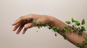 Mehr über den Artikel erfahren Pflanzliche Intelligenz — Wie botanische Wirkstoffe mit deiner DNA kommunizieren