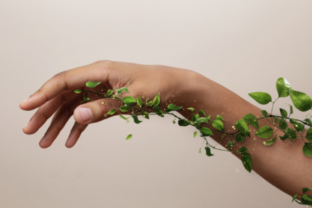 Pflanzliche Intelligenz — Wie botanische Wirkstoffe mit deiner DNA kommunizieren