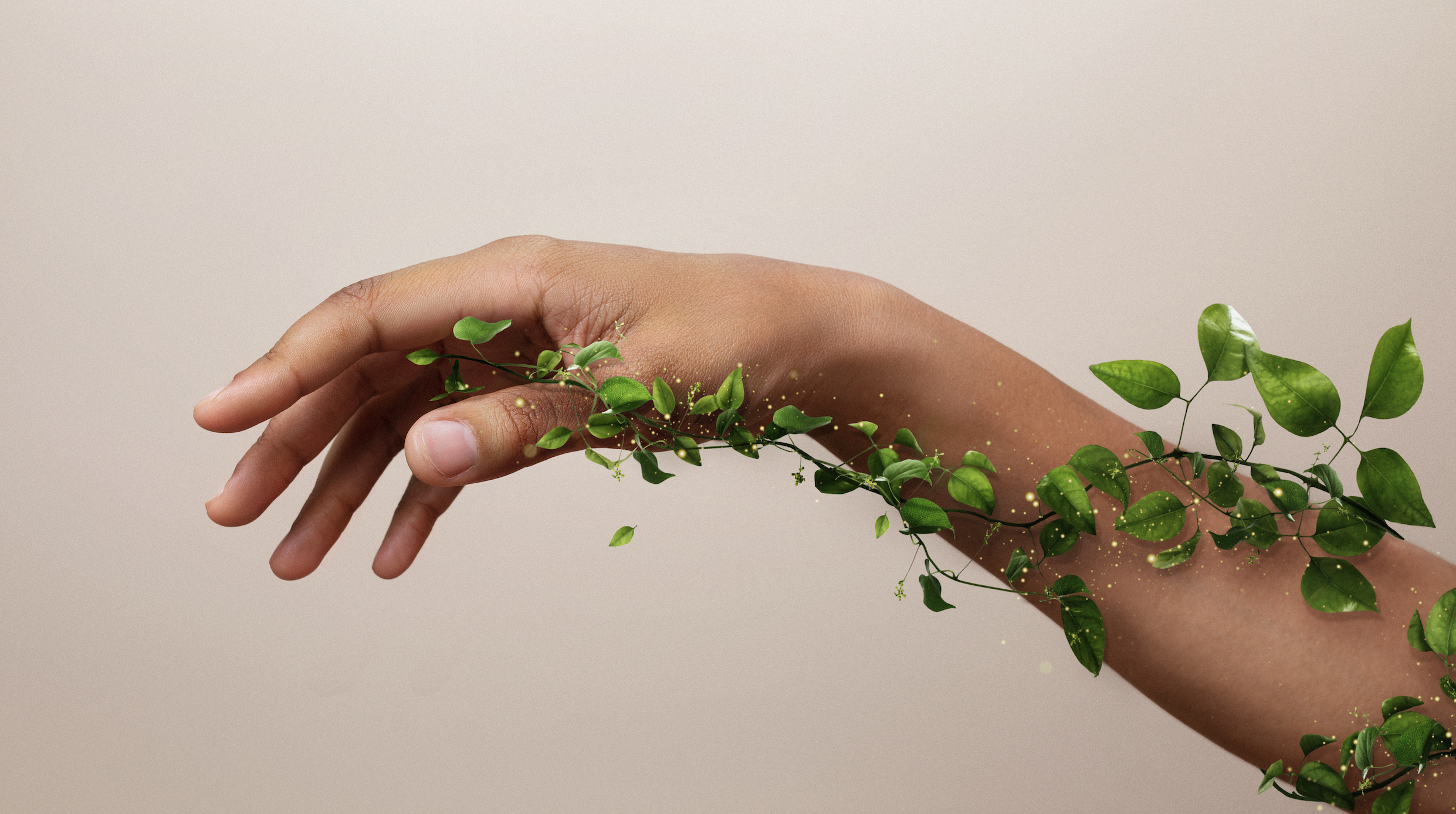 Du betrachtest gerade Pflanzliche Intelligenz — Wie botanische Wirkstoffe mit deiner DNA kommunizieren